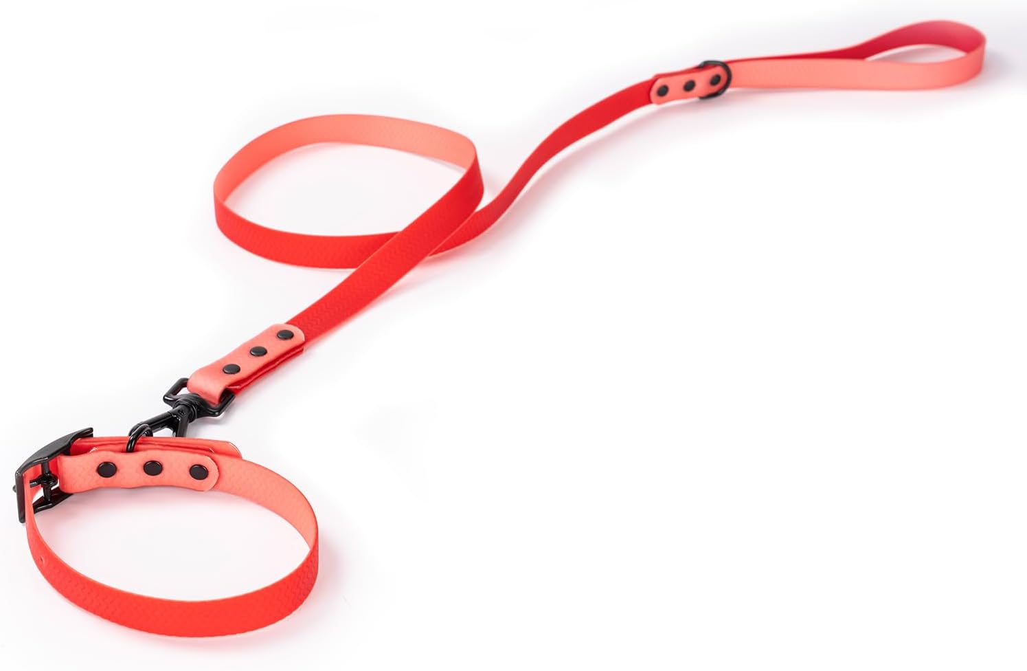 2 PCS Long Dog Leash for Small,Dog Collar,Pet Training Leash,Slip Leads for Dogs,Wear Resistant, Anti Slip, Waterproof, Easy to Clean Leashes Made of Excellent Materials.Size：M.