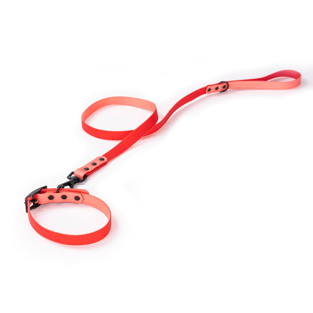 2 PCS Long Dog Leash for Small,Dog Collar,Pet Training Leash,Slip Leads for Dogs,Wear Resistant, Anti Slip, Waterproof, Easy to Clean Leashes Made of Excellent Materials.Size：M.