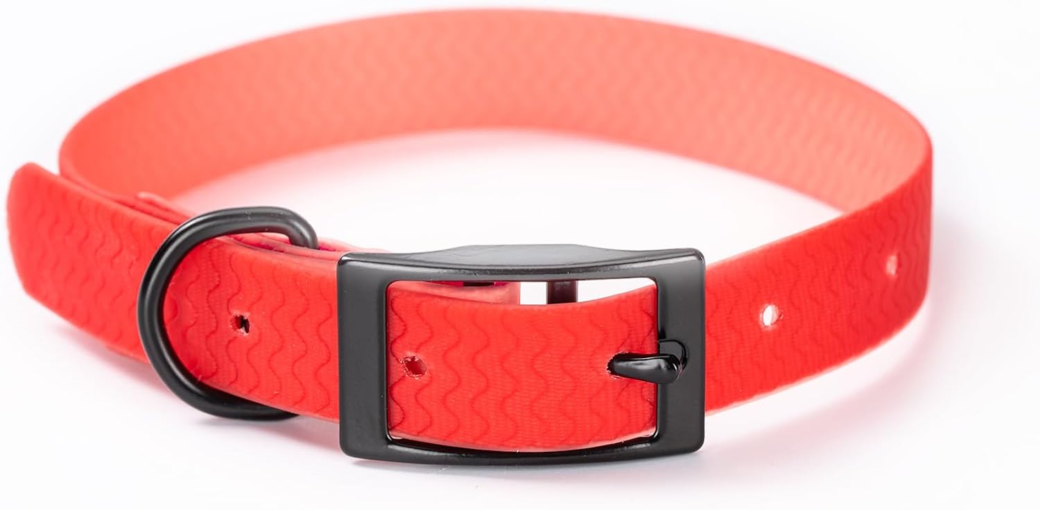 2 PCS Long Dog Leash for Small,Dog Collar,Pet Training Leash,Slip Leads for Dogs,Wear Resistant, Anti Slip, Waterproof, Easy to Clean Leashes Made of Excellent Materials.Size：M.