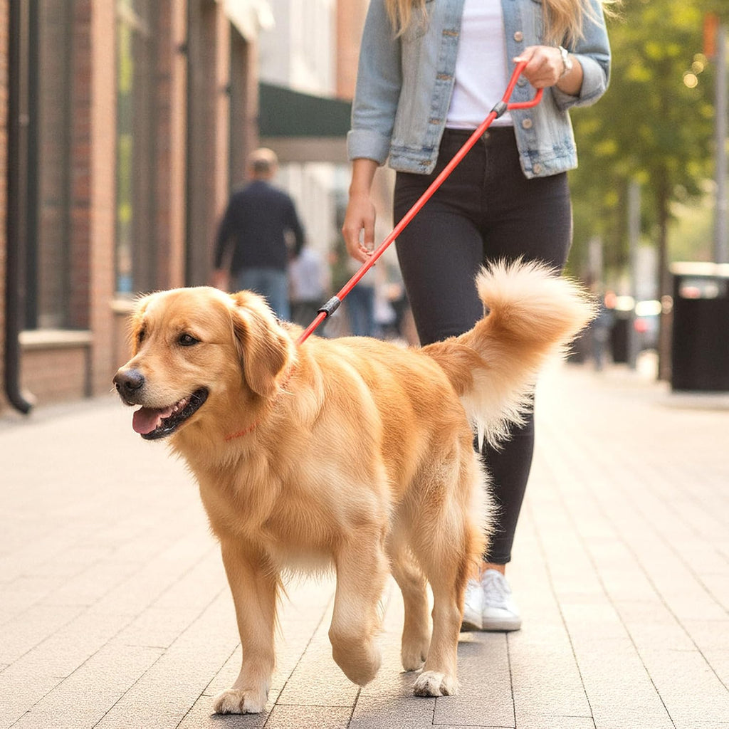 18PCS Dog Slip Lead Adjustable Nylon Leads 6 Colors Easy On/Off No-Pull Slip Leash for Dogs Slips Leads Dog Rope Leash for Walking & Training-4.5FT