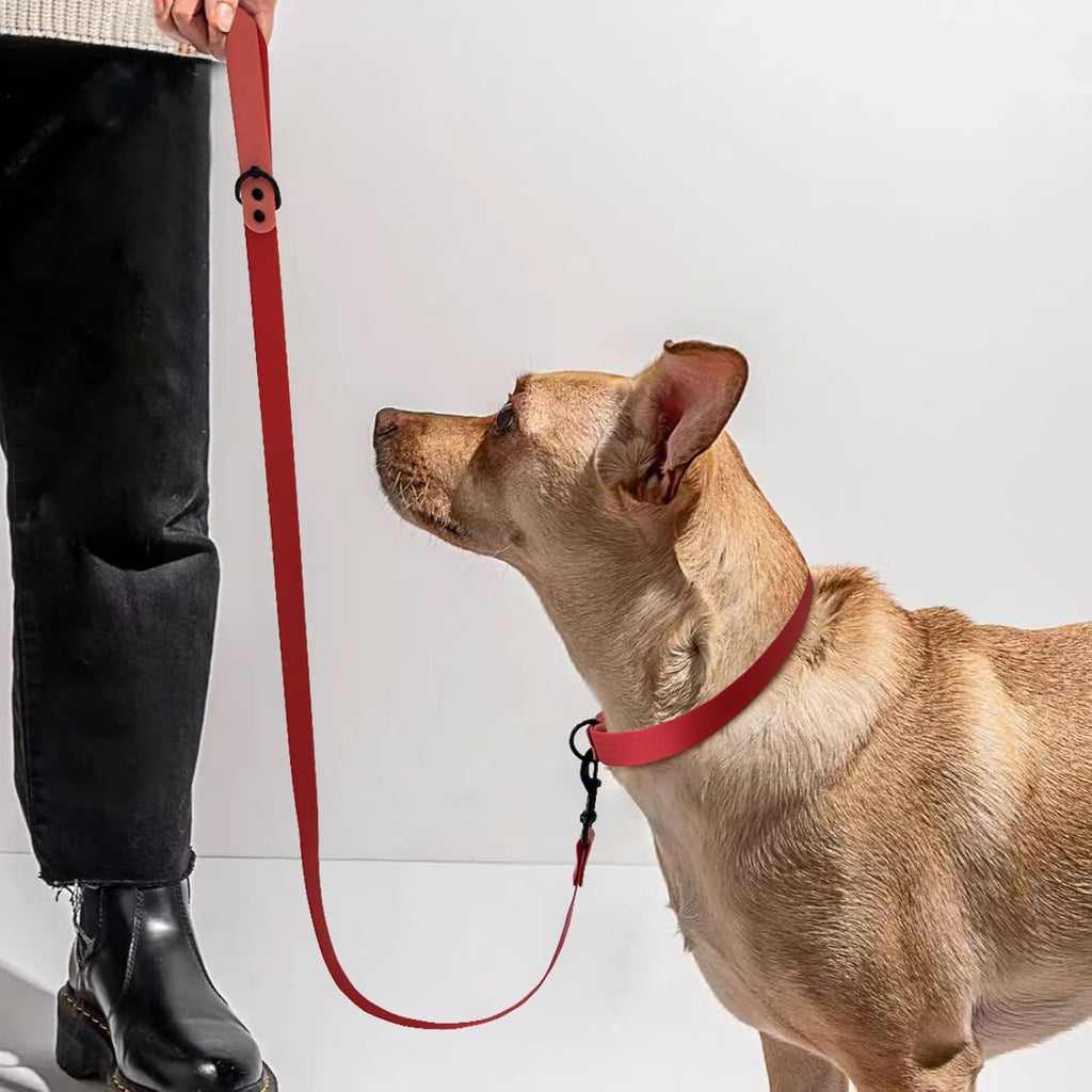 2 PCS Long Dog Leash for Small,Dog Collar,Pet Training Leash,Slip Leads for Dogs,Wear Resistant, Anti Slip, Waterproof, Easy to Clean Leashes Made of Excellent Materials.Size：M.