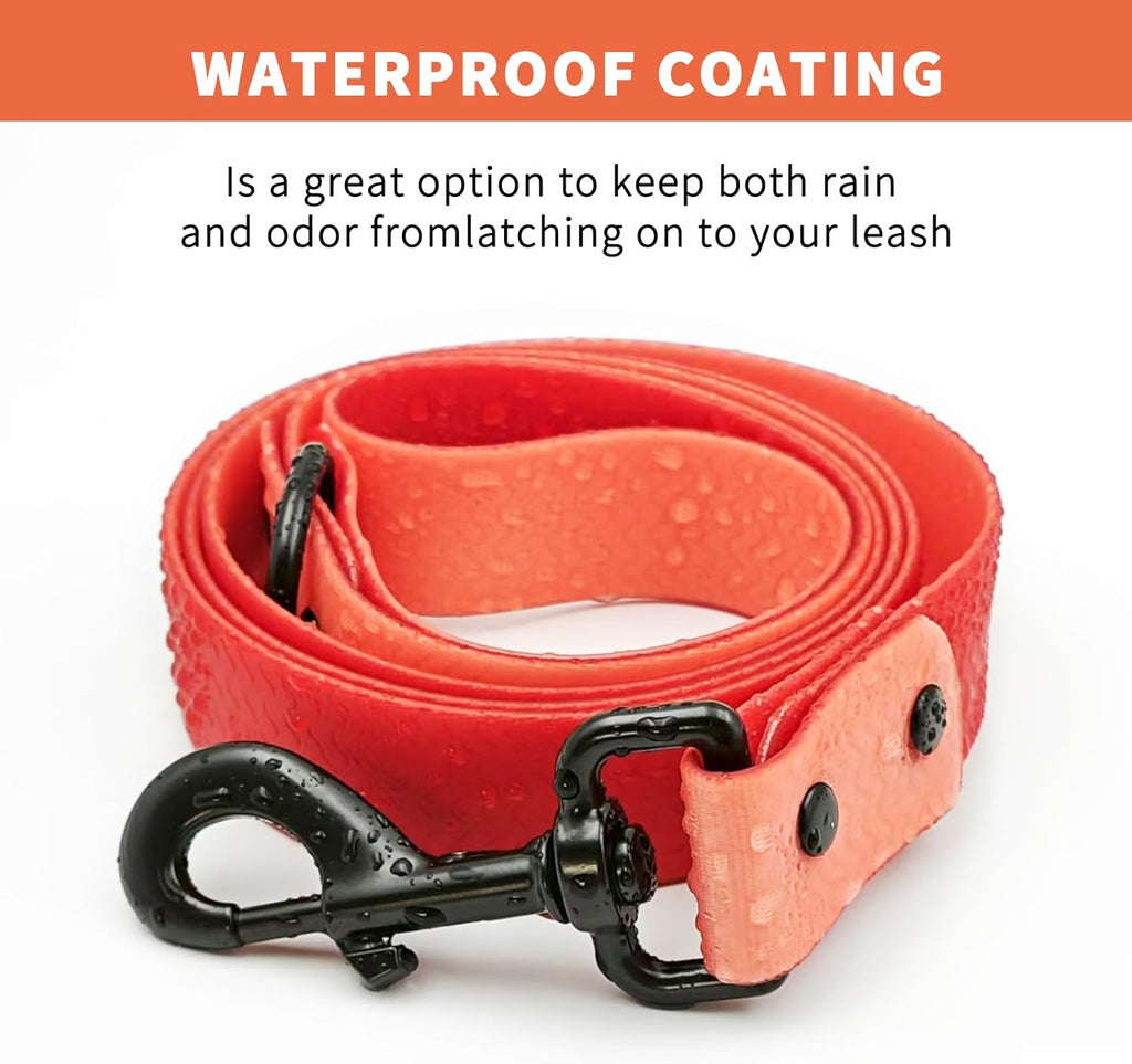 2 PCS Long Dog Leash for Small,Dog Collar,Pet Training Leash,Slip Leads for Dogs,Wear Resistant, Anti Slip, Waterproof, Easy to Clean Leashes Made of Excellent Materials.Size：M.