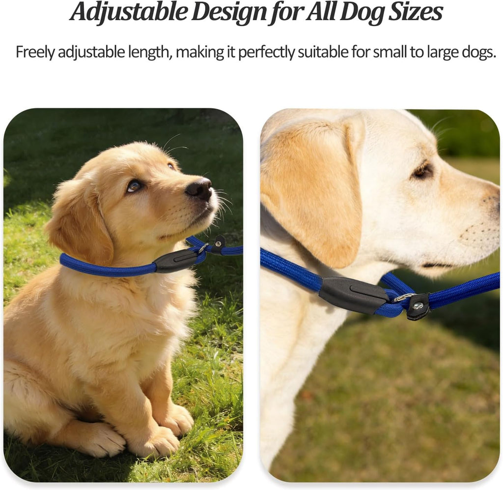 2-Pack Adjustable Nylon Slip Dog Lead – Collar-and-Leash Integrated Design for Training (Black/Blue)