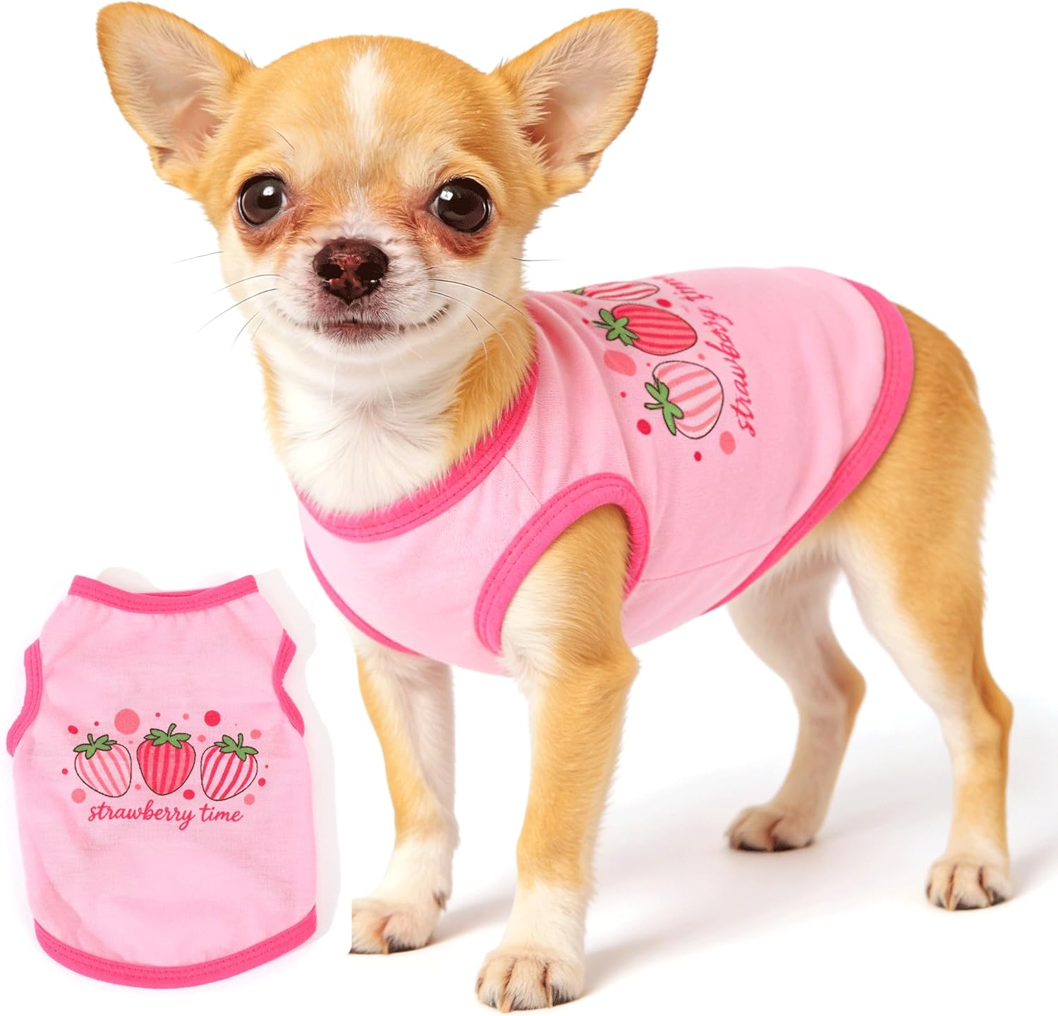 3 Pieces Dog Clothes for Small Dogs Girl Cute Small Dog Shirts Spring Summer Soft Puppy Outfits Clothing Pet T Shirts Yorkie Chihuahua Clothes XS (Pink,Rose,Purple, XSmall)