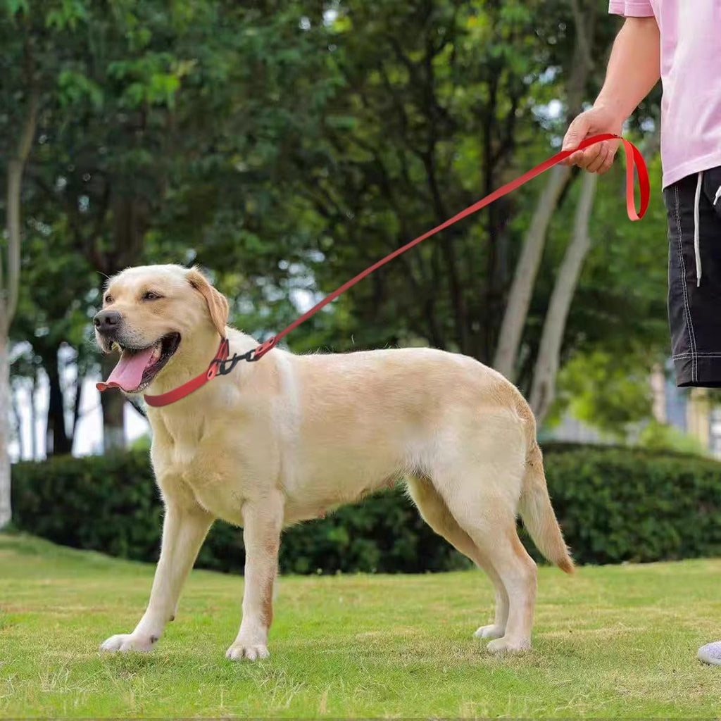2 PCS Long Dog Leash for Small,Dog Collar,Pet Training Leash,Slip Leads for Dogs,Wear Resistant, Anti Slip, Waterproof, Easy to Clean Leashes Made of Excellent Materials.Size：M.