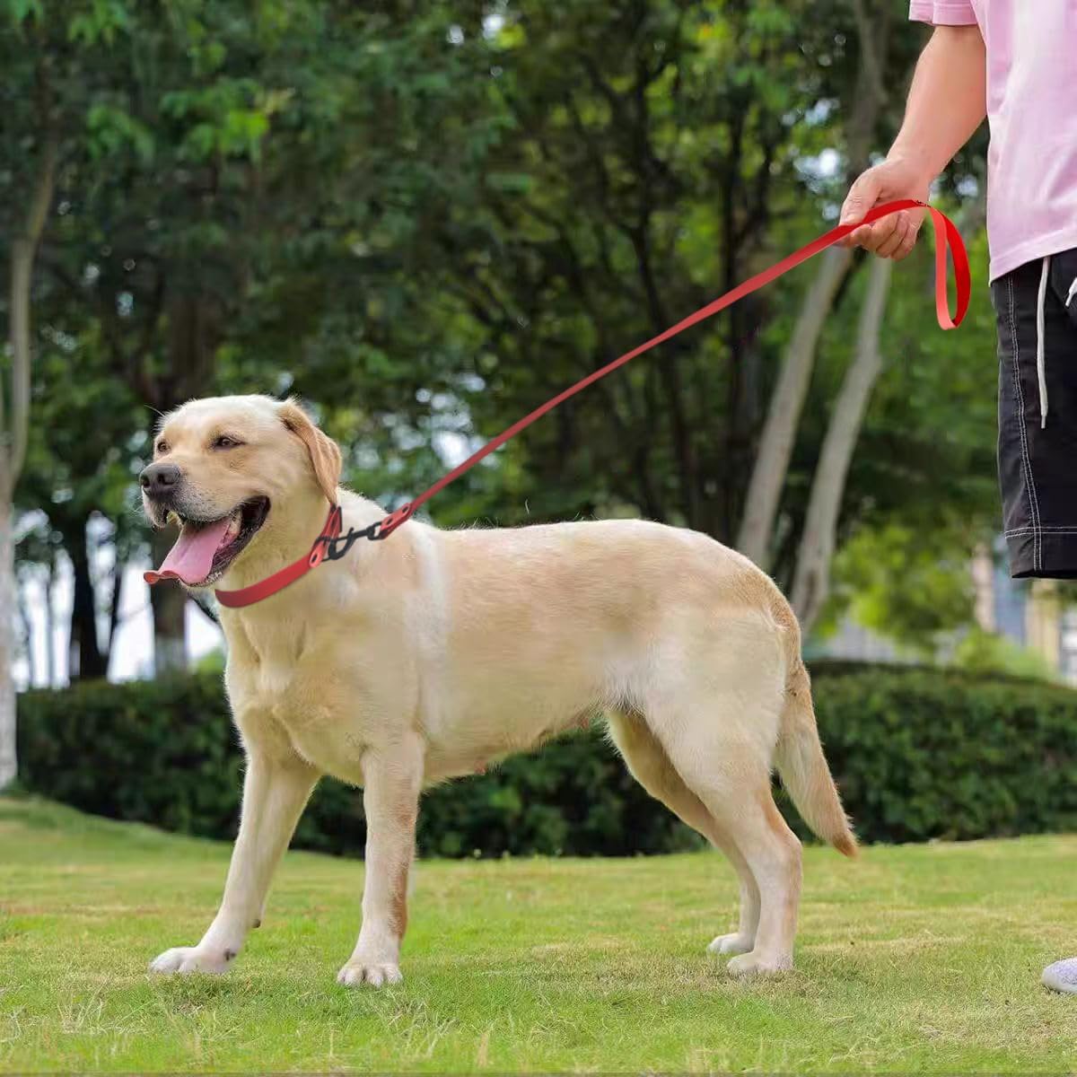 2 PCS Long Dog Leash for Small,Dog Collar,Pet Training Leash,Slip Leads for Dogs,Wear Resistant, Anti Slip, Waterproof, Easy to Clean Leashes Made of Excellent Materials.Size：M.