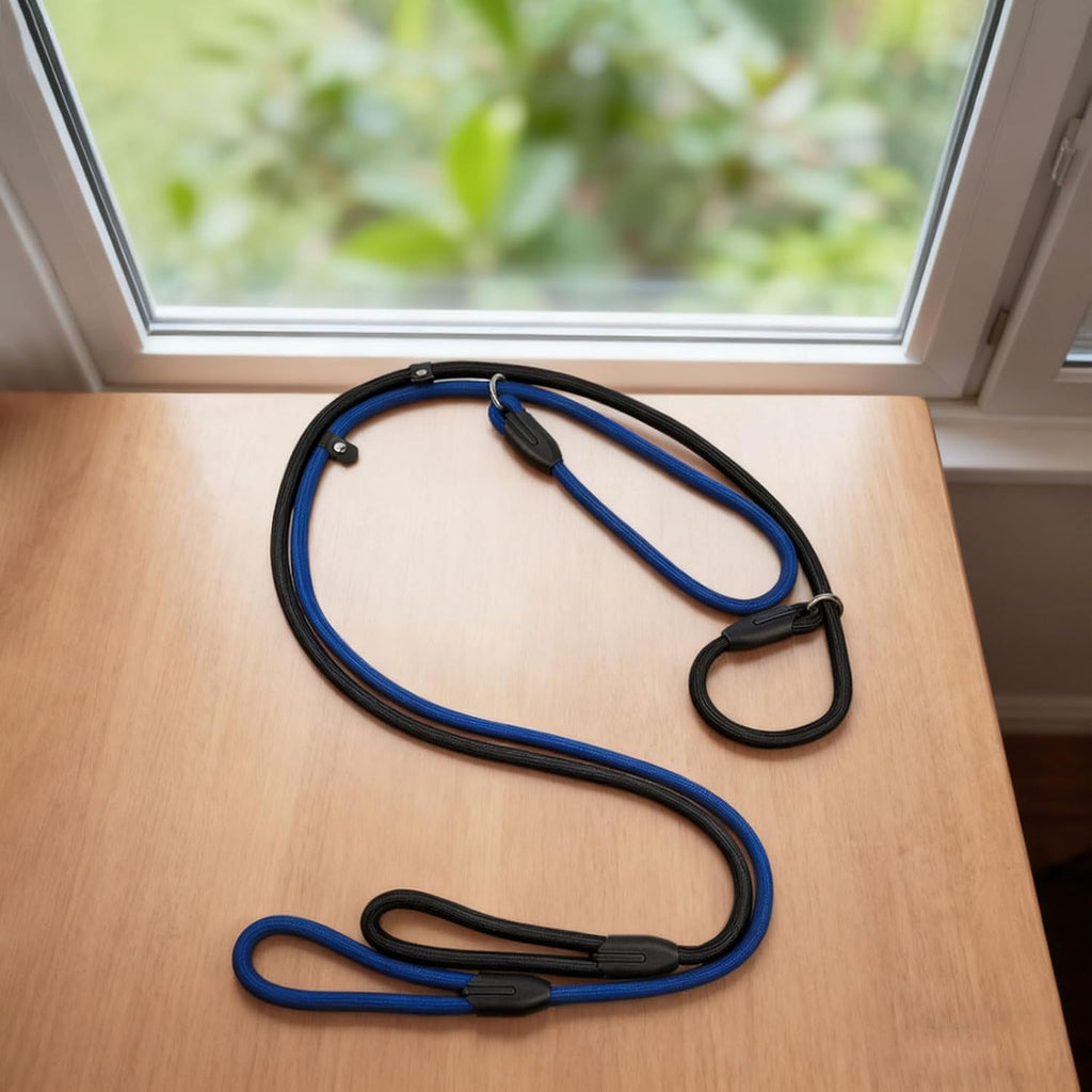 2-Pack Adjustable Nylon Slip Dog Lead – Collar-and-Leash Integrated Design for Training (Black/Blue)