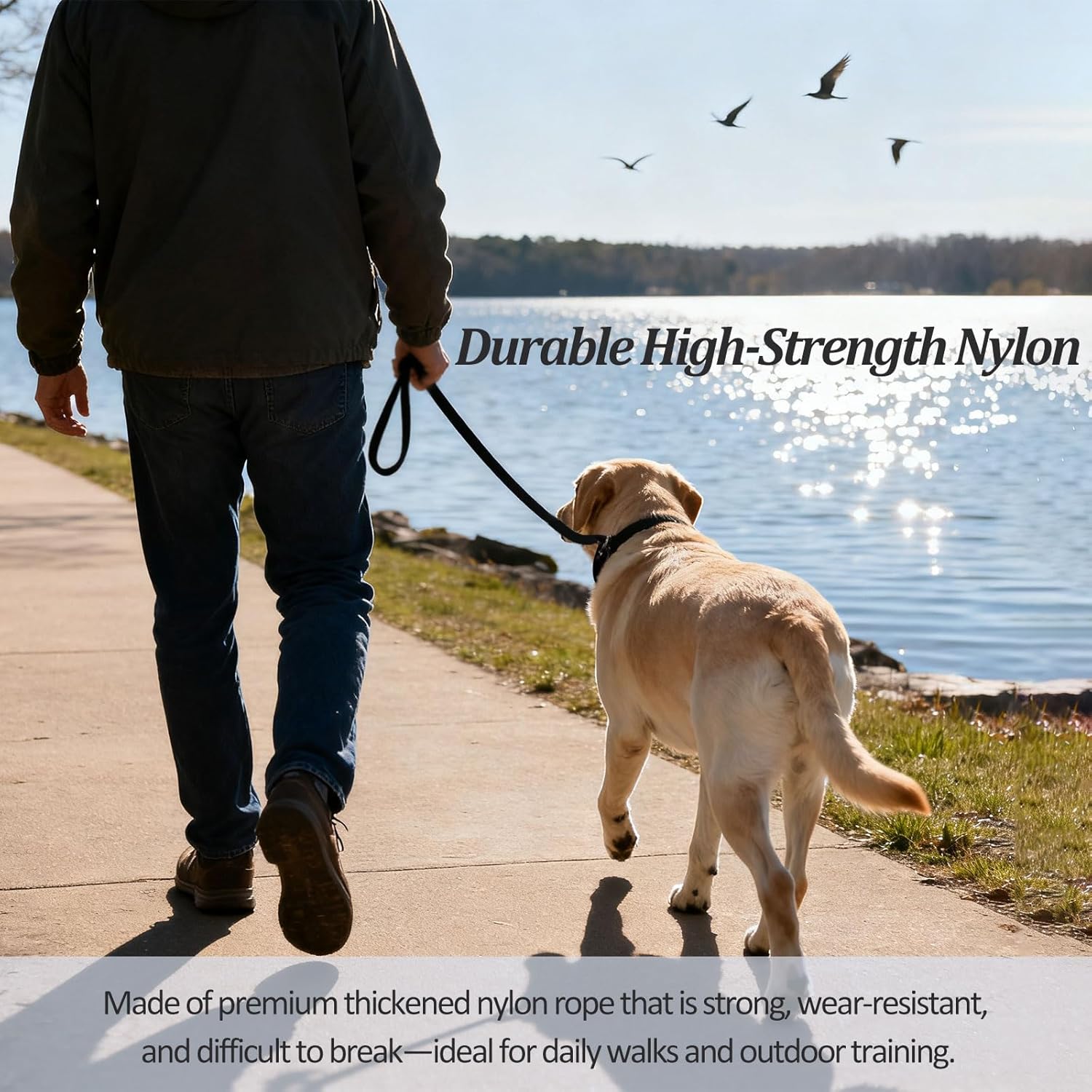 2-Pack Adjustable Nylon Slip Dog Lead – Collar-and-Leash Integrated Design for Training (Black/Blue)