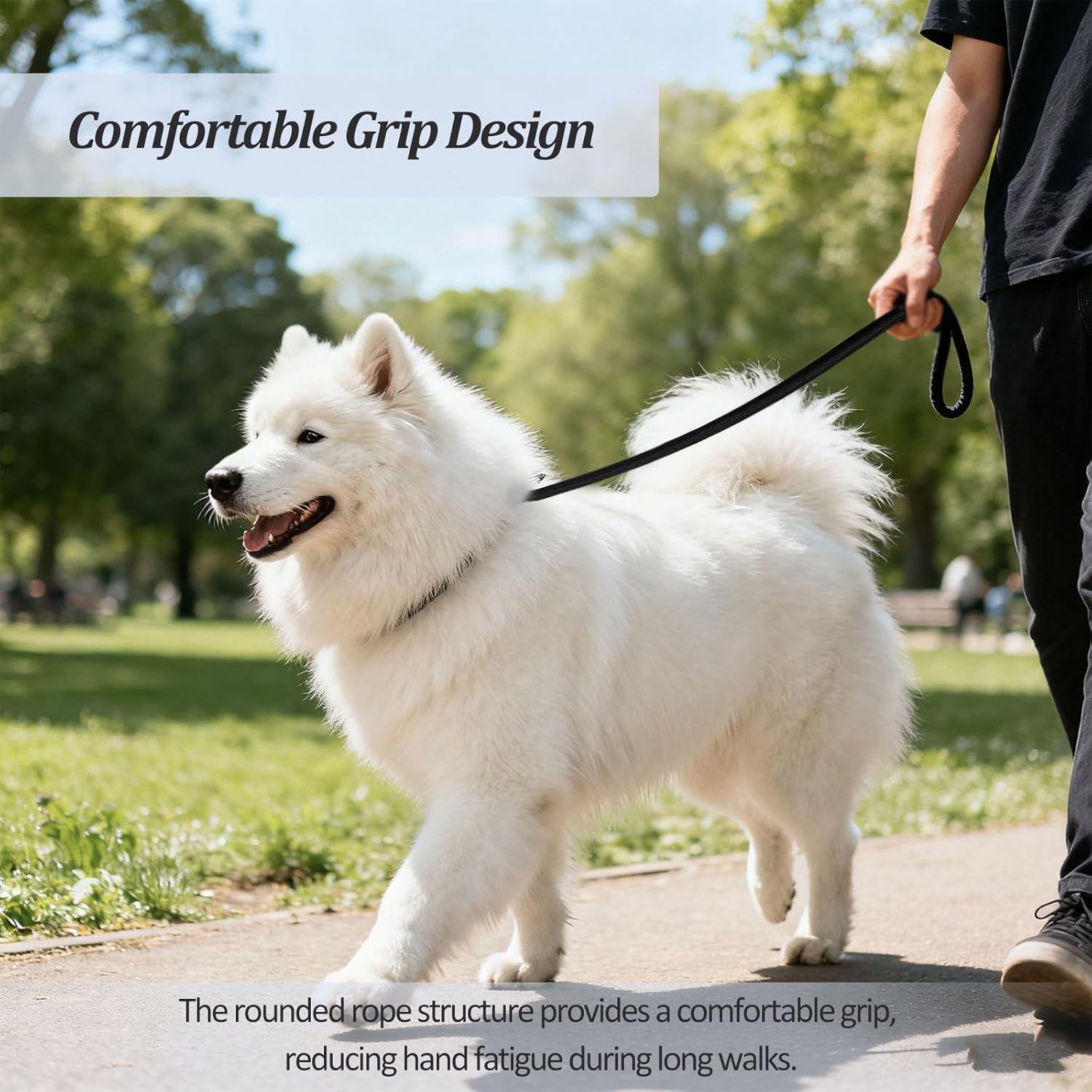 2-Pack Adjustable Nylon Slip Dog Lead – Collar-and-Leash Integrated Design for Training (Black/Blue)