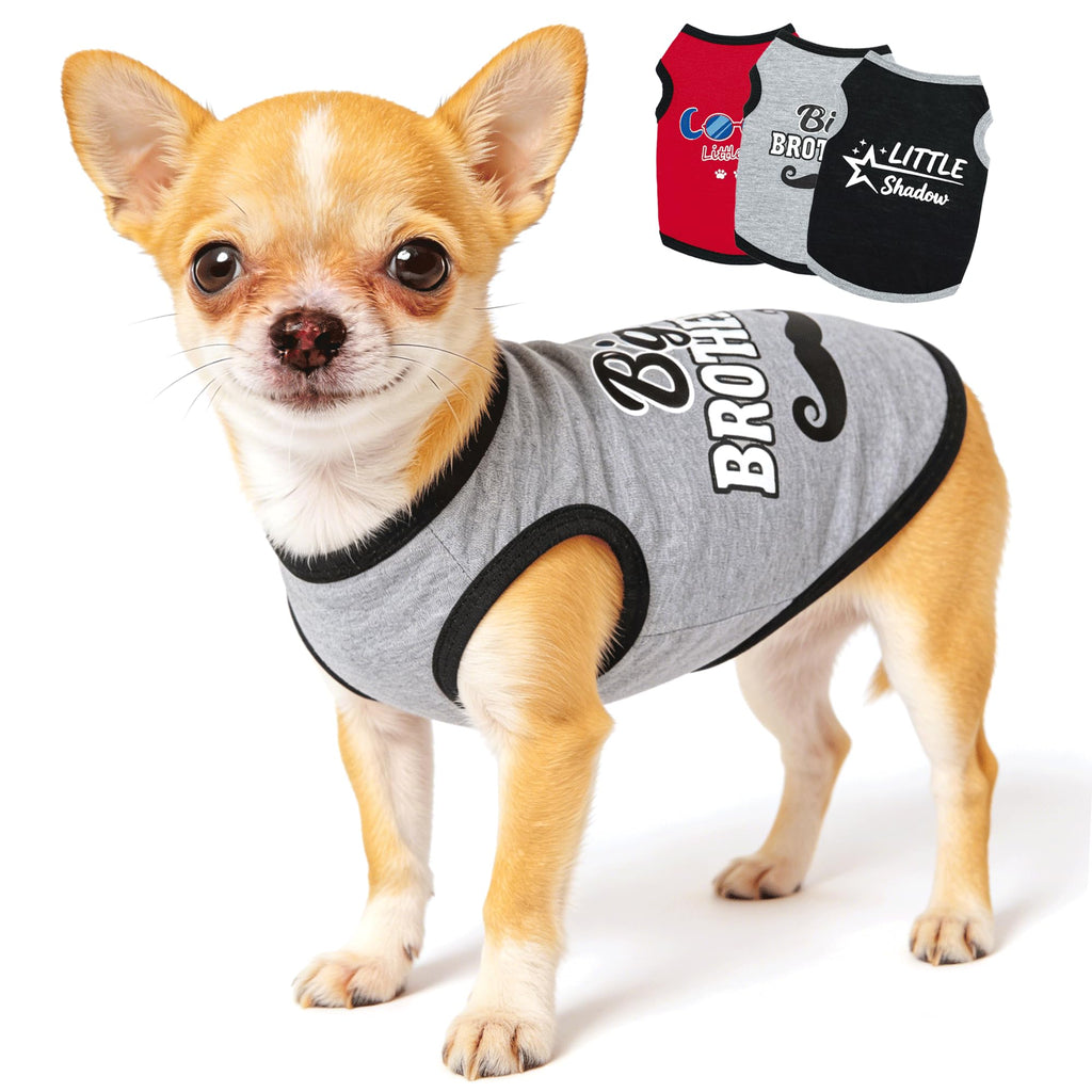 3 Pieces Dog Clothes for Small Dogs Girl Cute Small Dog Shirts Spring Summer Soft Puppy Outfits Clothing Pet T Shirts Yorkie Chihuahua Clothes XS (Pink,Rose,Purple, XSmall)