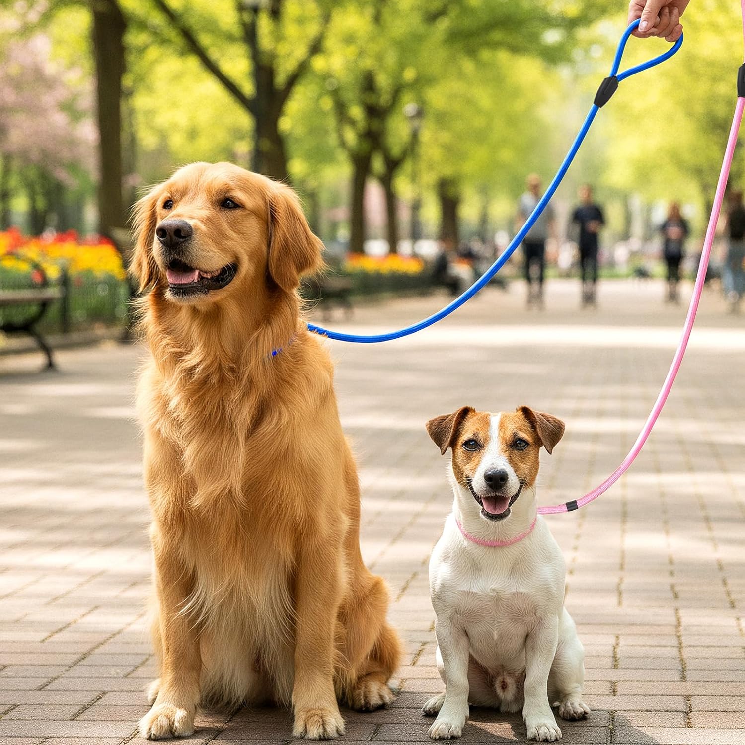 18PCS Dog Slip Lead Adjustable Nylon Leads 6 Colors Easy On/Off No-Pull Slip Leash for Dogs Slips Leads Dog Rope Leash for Walking & Training-4.5FT